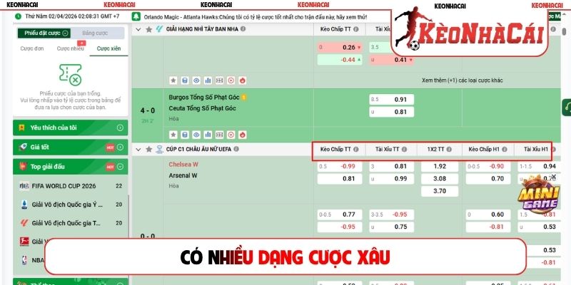 Có nhiều dạng cược xâu