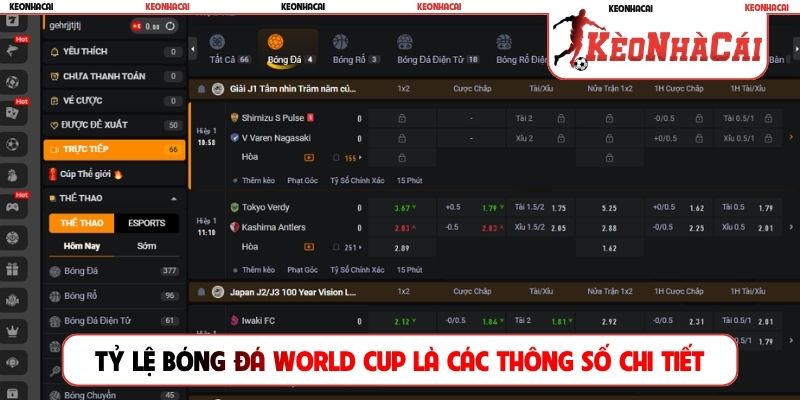 Tỷ lệ bóng đá World Cup là các thông số chi tiết