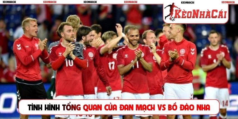 Tình hình tổng quan của Đan Mạch vs Bồ Đào Nha