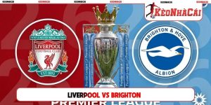 Soi Kèo Liverpool Vs Brighton 21H00, 25/10 Ngoại hạng Anh